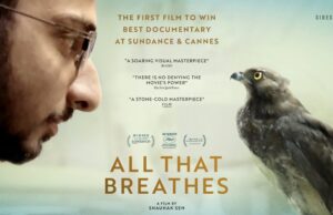 Oscars Make a Case for Impact