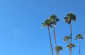 Today at Modernism Week — October: October 25