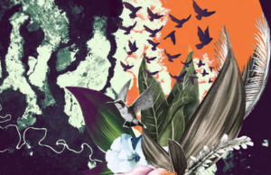 LUZMI: A young Colombian-American Woman Discovers Her True Identify in the Amazon Rain Forest