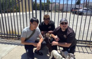 Where Dogs Feel at Home: Whitaker Dog Redefines Boarding with Heart and Care