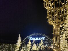 New! Enchant Christmas to make 2,500 Youth Tickets Available For Free!