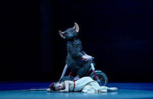 AN ARTISTIC REFLECTION ON THE NUTCRACKER