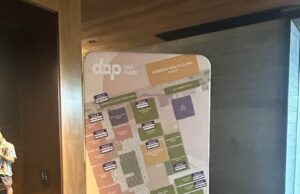 Honoring the Women Who Shape Our Lives: A Meaningful Evening with DAP Health in Palm Springs