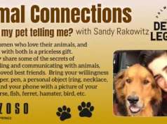 Animal Connections & Intuition Take Center Stage at Desert Legends 2026