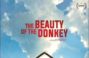 THE BEAUTY OF THE DONKEY: Dea Gjinovci’s Documentary About Memory and Place in Her Father’s Return to a Village in Kosovo