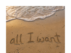 Allie Colleen Captures the Rush of Summer Love With “All I Want”
