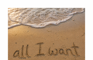 Allie Colleen Captures the Rush of Summer Love With “All I Want”