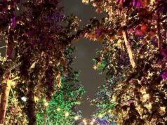 OUTLOUD Music Festival and WeHo Pride 2026: A Weekend of Music, Community, and Celebration