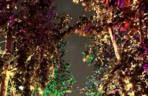 OUTLOUD Music Festival and WeHo Pride 2026: A Weekend of Music, Community, and Celebration