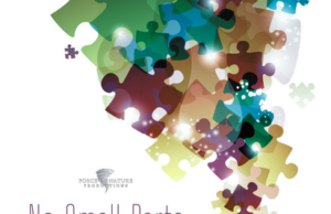 No Small Parts by Force of Nature Productions