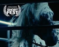 The Kalgan Horse Brings a Powerful Coming-of-Age Story to HollyShorts 2026