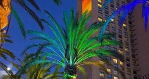Manchester Grand Hyatt San Diego Welcomes The Hollywood Times Back for San Diego Pride