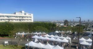 Spinning Sunset: West Hollywood’s Ultimate Vinyl Celebration in the Sun