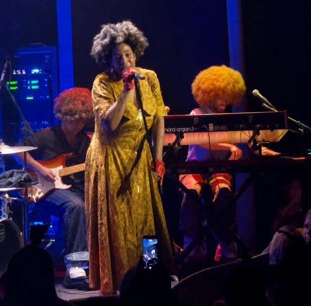 Macy Gray at The Blue Note (Photo by John Lavitt) Macy Gray