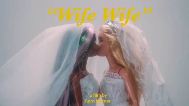 WifeWife_PressKit.pdf