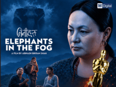 ELEPHANTS IN THE FOG: A Thriller Set in a Transgender Community in Rural Nepal