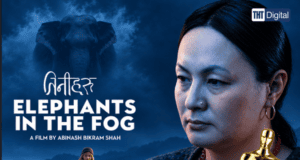 ELEPHANTS IN THE FOG: A Thriller Set in a Transgender Community in Rural Nepal