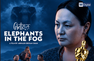 ELEPHANTS IN THE FOG: A Thriller Set in a Transgender Community in Rural Nepal