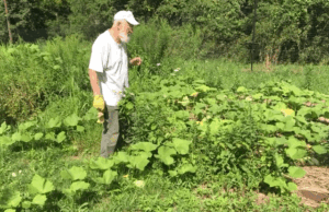 From a Berks County Farm, Bullfrog Films Helps Documentaries Find Their Audience