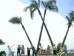 Get Ready to Go Mad: Costume Contest Coming to Palm Springs for It’s a Mad, Mad, Mad, Mad World