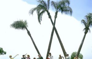 Get Ready to Go Mad: Costume Contest Coming to Palm Springs for It’s a Mad, Mad, Mad, Mad World